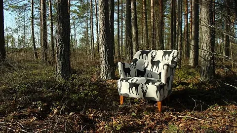 Stol plassert utendørs i skogsmiljø